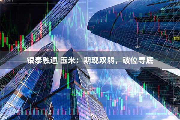 银泰融通 玉米：期现双弱，破位寻底