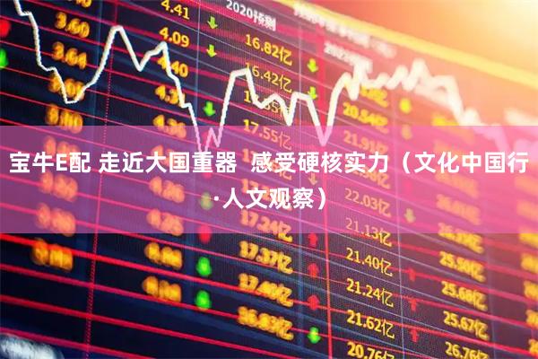 宝牛E配 走近大国重器  感受硬核实力（文化中国行·人文观察）