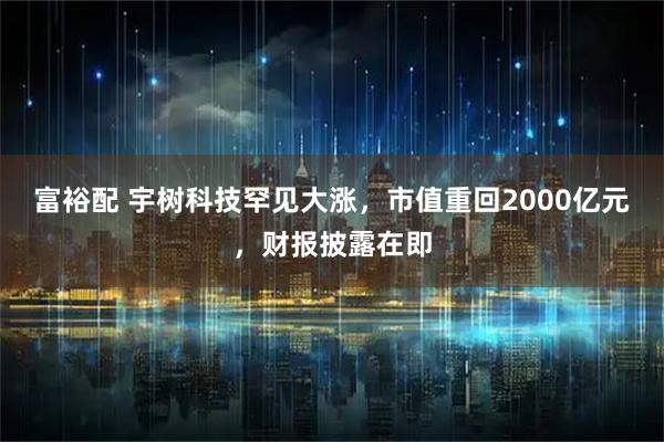 富裕配 宇树科技罕见大涨，市值重回2000亿元，财报披露在即